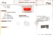 8.98/CT Natural Red Coral With Govt. Lab Certificate